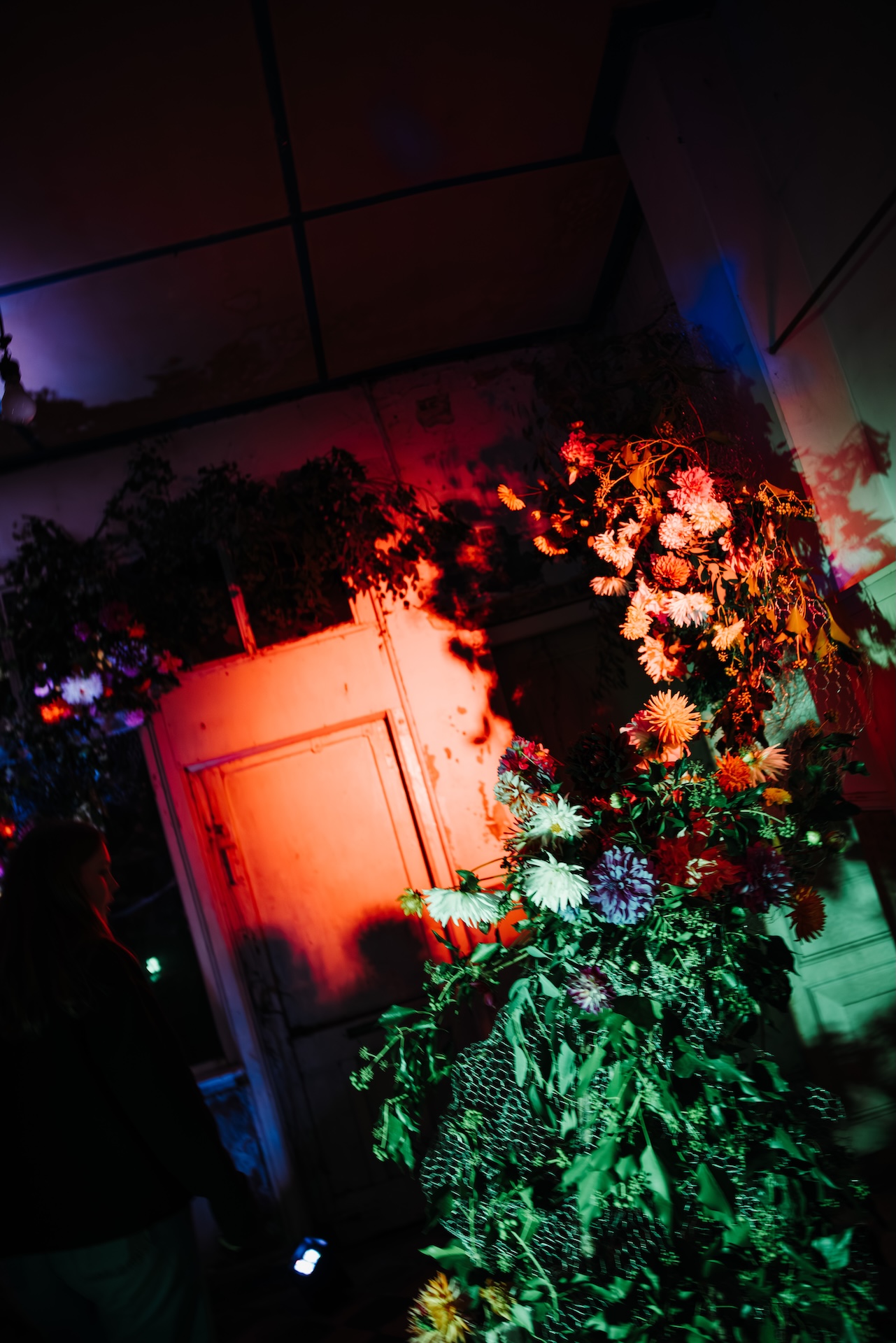 Blik Vooruit 2025 - Het Gele Huis - Opening