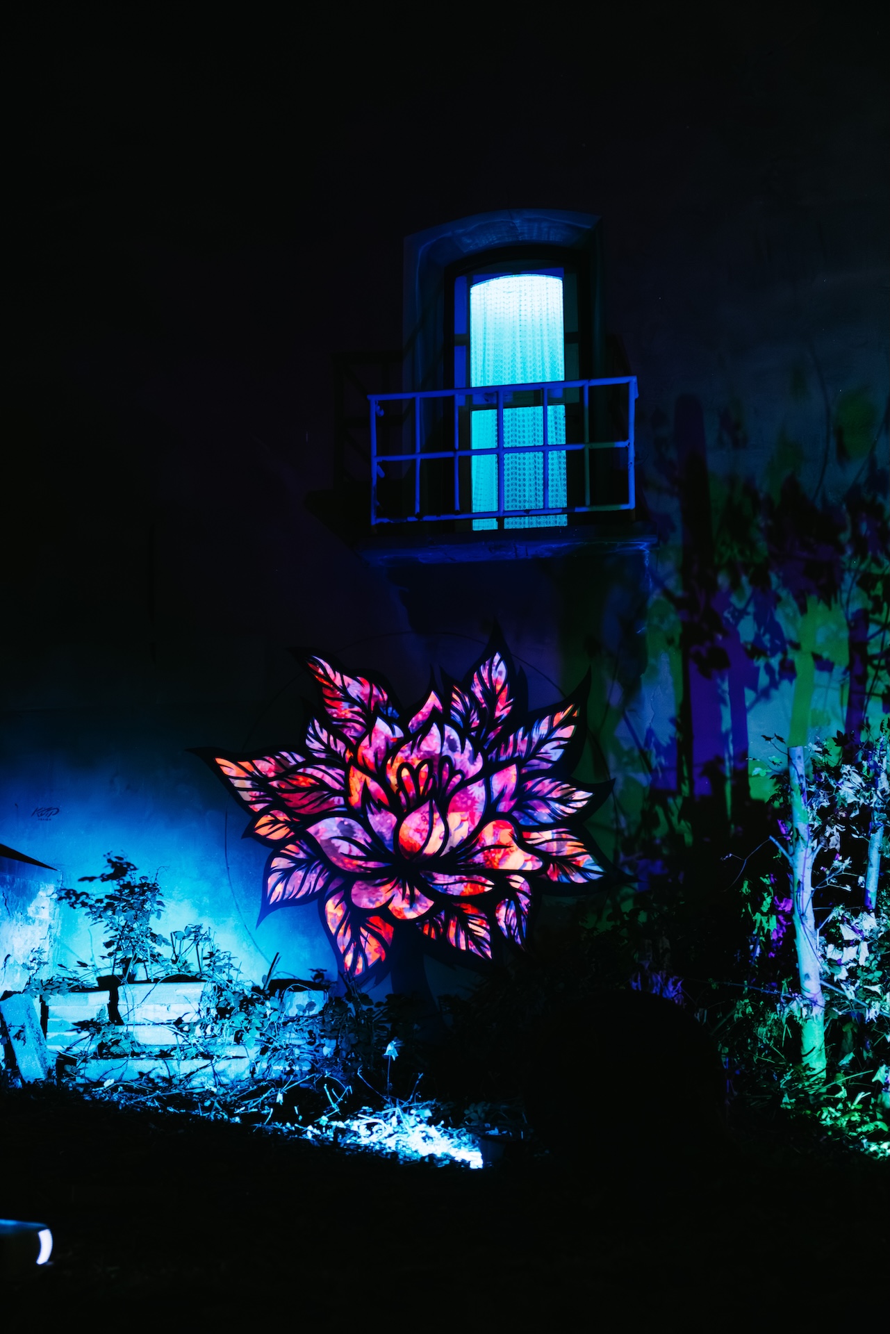 Blik Vooruit 2025 - Het Gele Huis - Opening