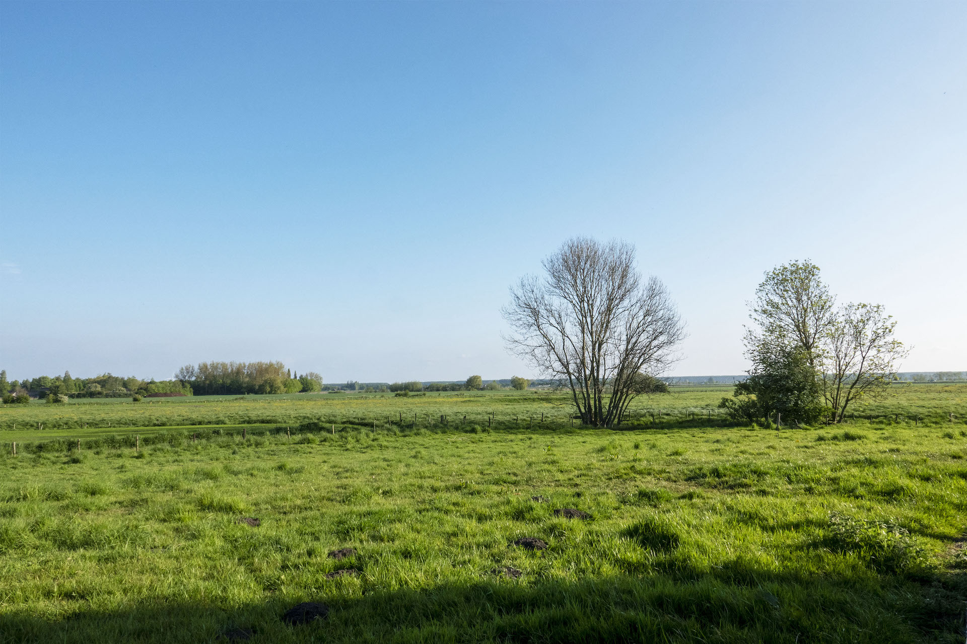 Kunstenfestival Aardenburg 2022 - Locaties - Weide Van Overloop