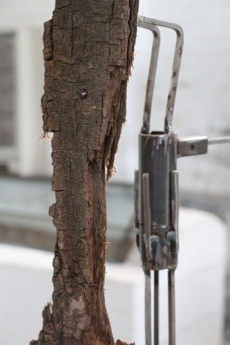Kunstenfestival Aardenburg 2019 - Kunstenaars - Robert Soroko - Boomschors - © Foto Herjan Verbeek